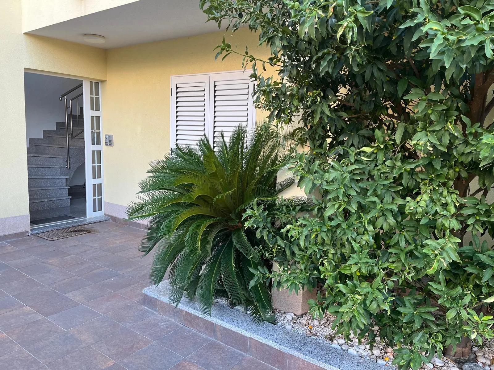 Mediterranean garden